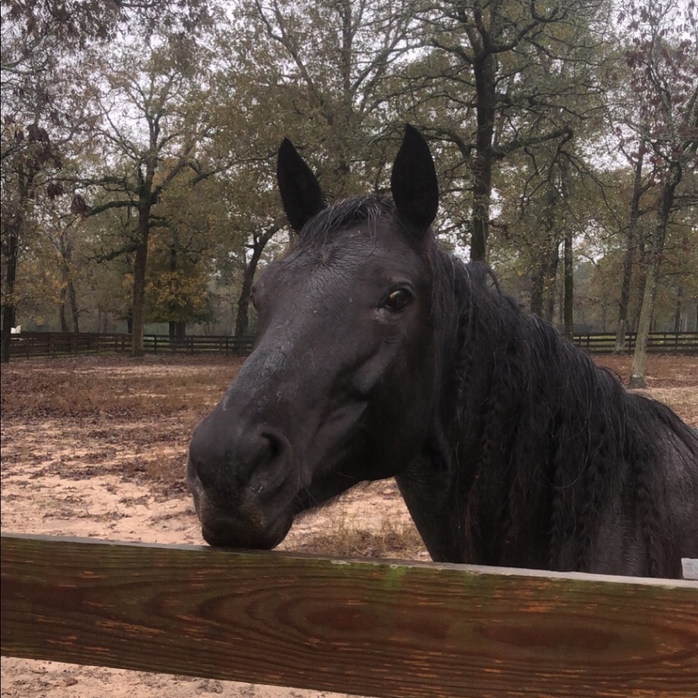 Meet your Posher, Hannah